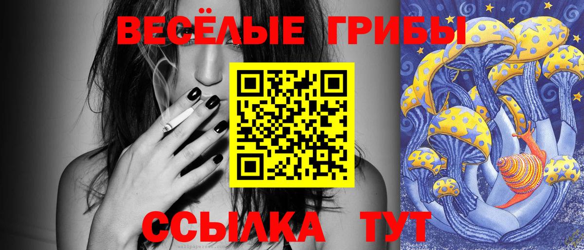Псилоцибиновые грибы GOLDEN TEACHER Валуйки