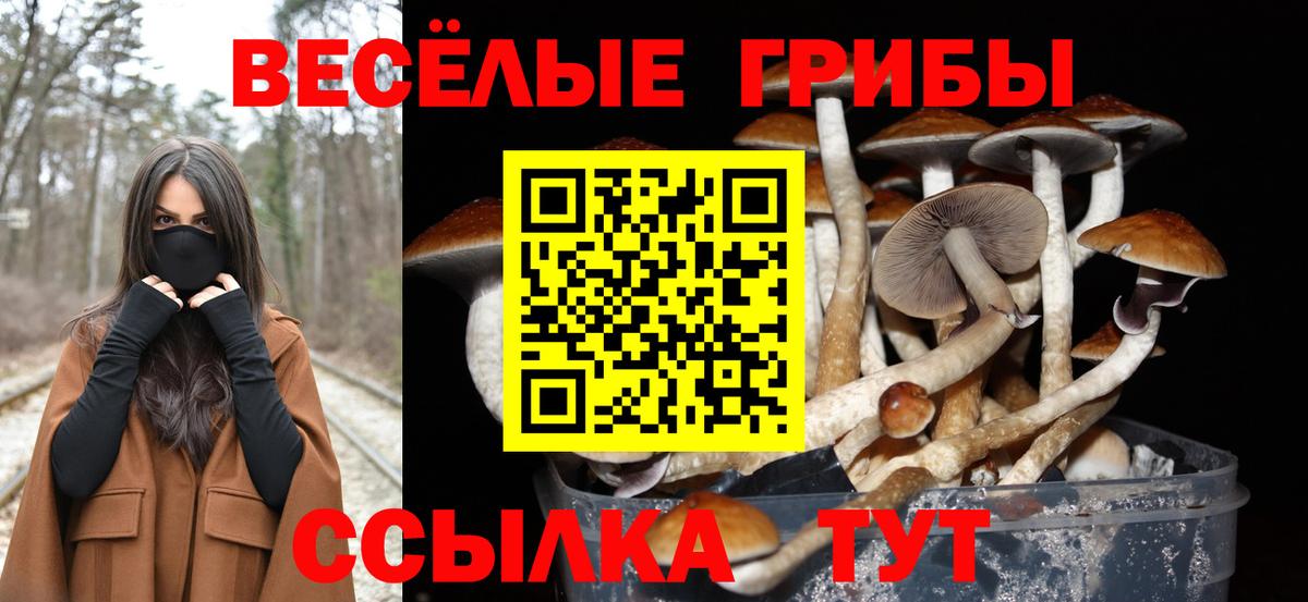 Валуйки  даркнет сайт  Вход с VPN  Псилоцибиновые грибы GOLDEN TEACHER 